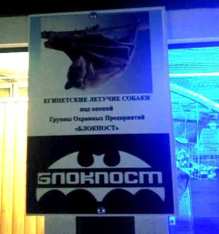 Блокпост опека животных